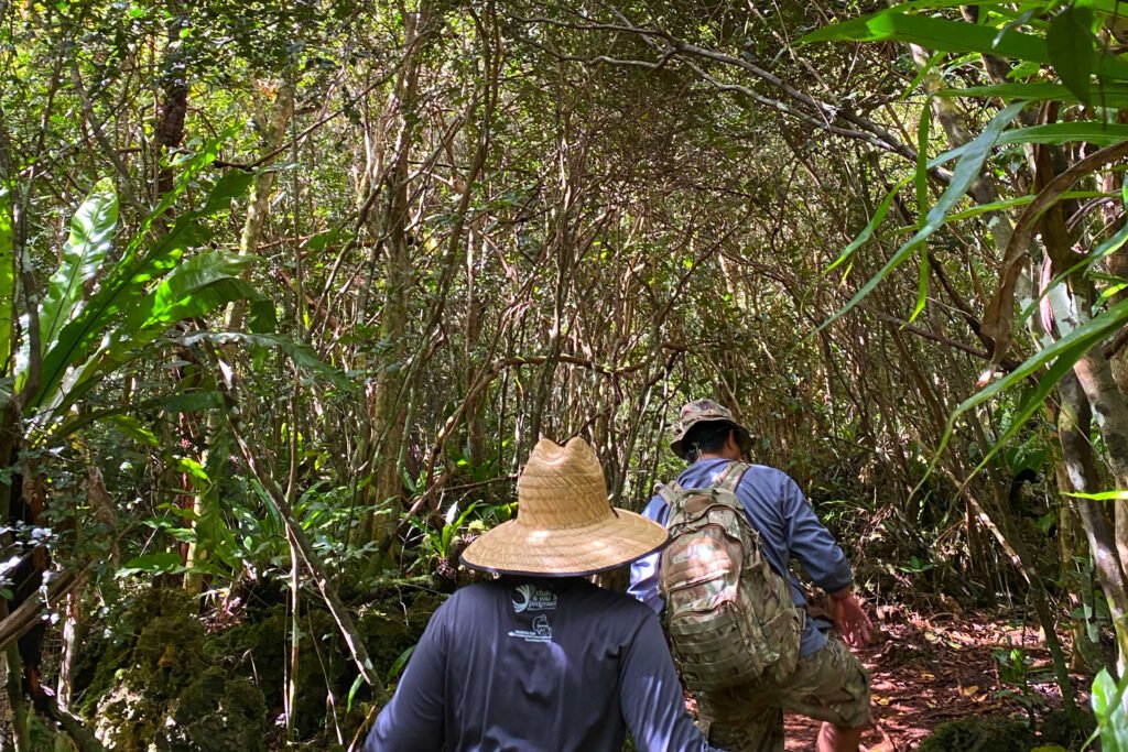 Pagat Cave Hike 2 (Sustainable Tourism)