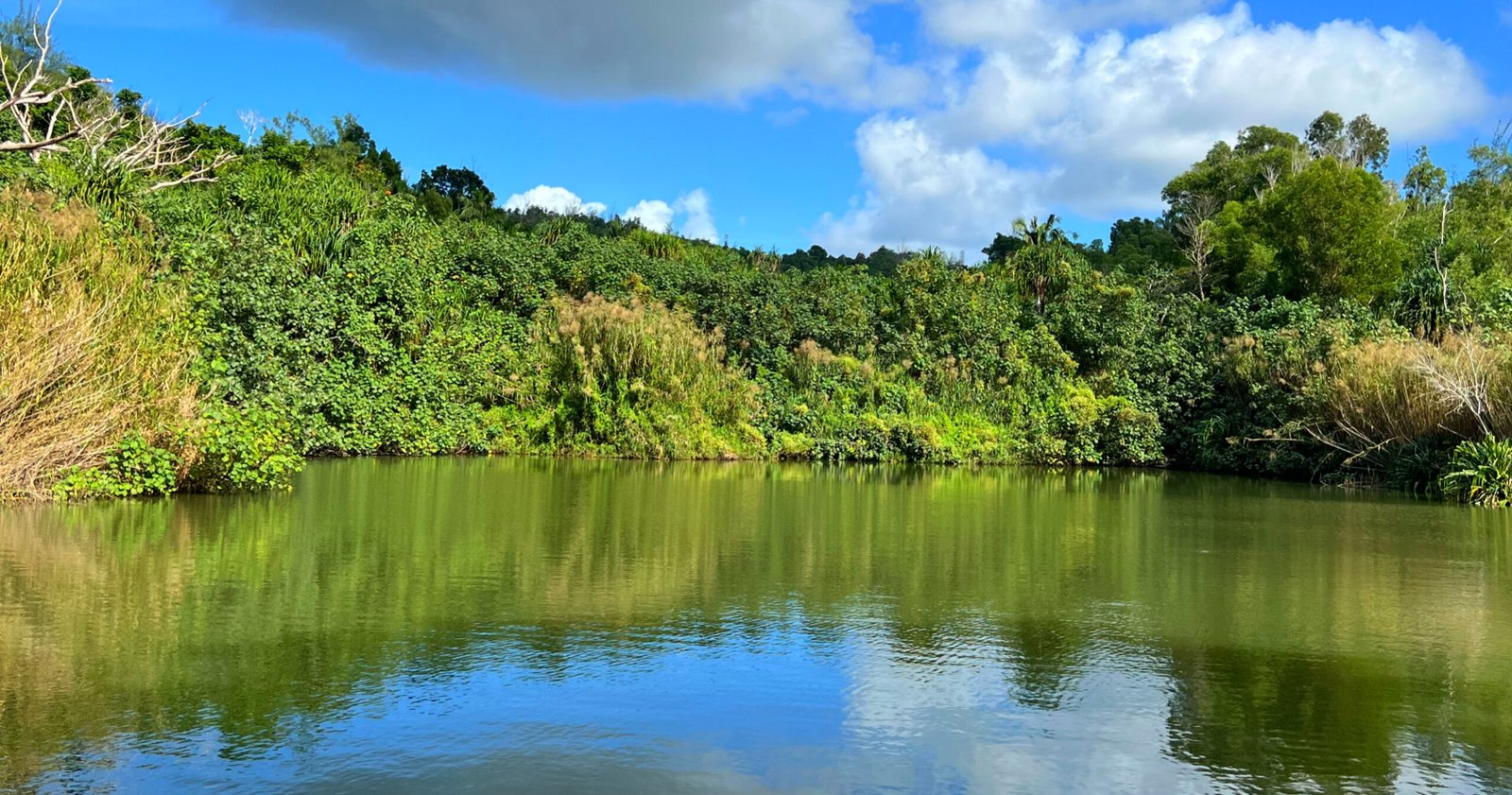 Sustainable Tourism On Guam: Protecting Culture and Nature