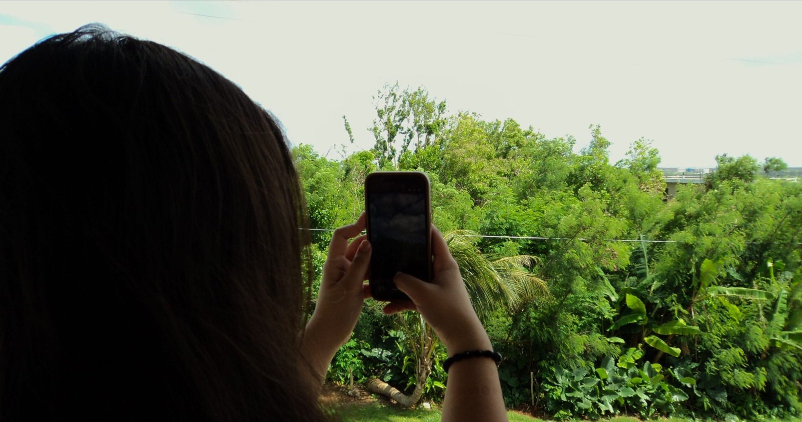 Social Media 3